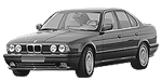 BMW E34 P0448 Fault Code